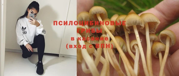 спиды Балахна