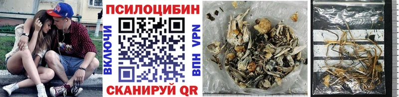 дарнет шоп  Малаховка  Псилоцибиновые грибы MAGIC MUSHROOMS 