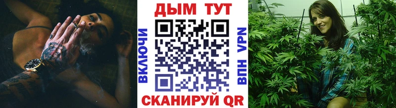 Канабис сатива Малаховка
